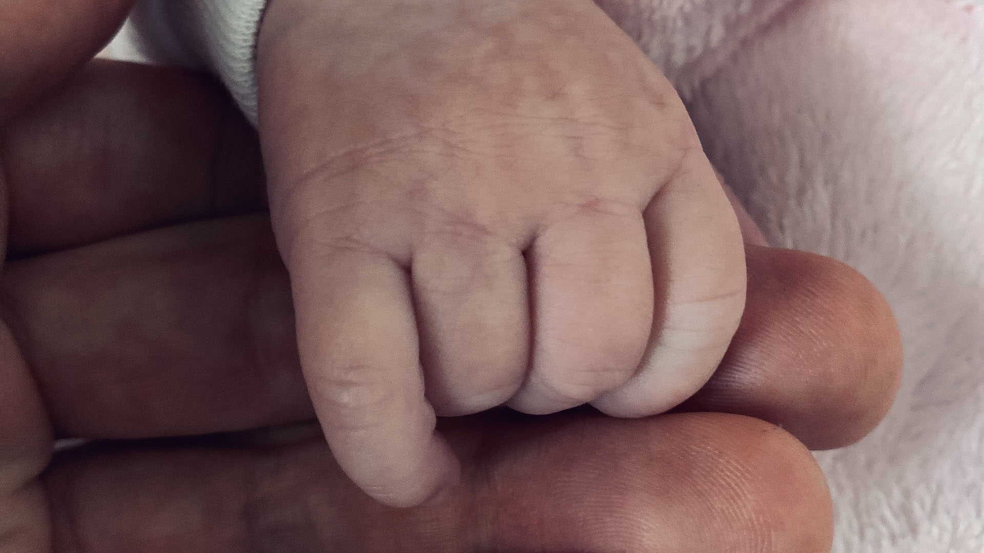 Úvodný obrázok Pediatrie LS
